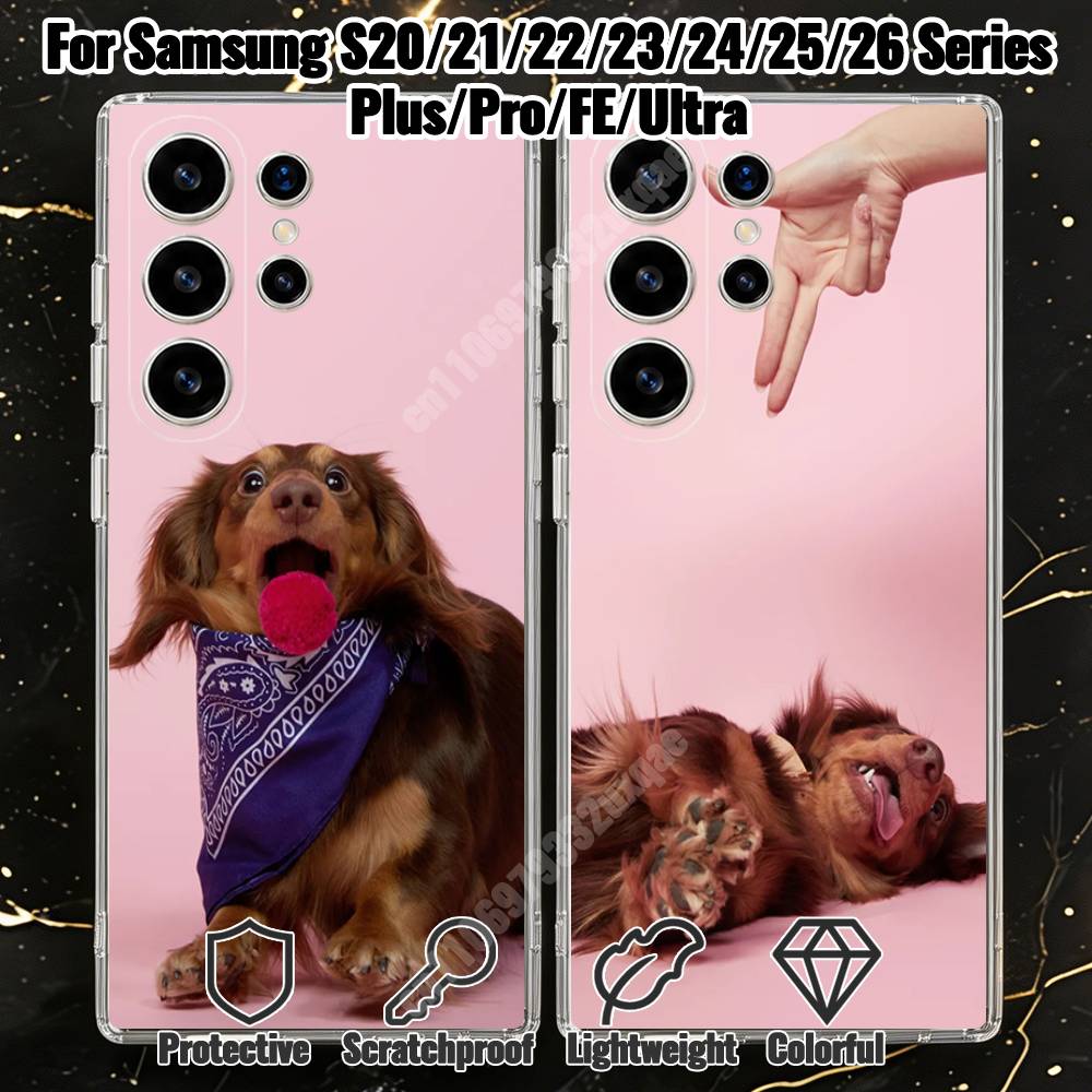 Photography Quotes - Dachshund Dog Photography Phone Case for