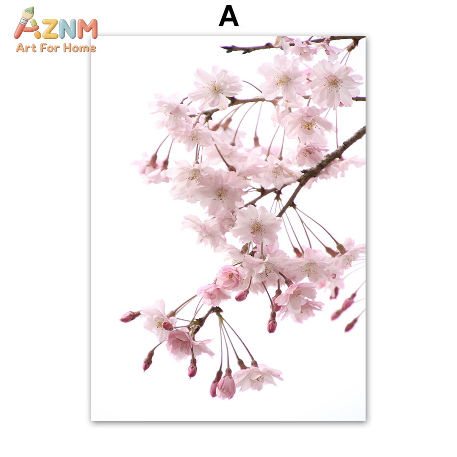 AZNM Pink Cherry Blossom Canva - đánh giá và giá Photography Quotes