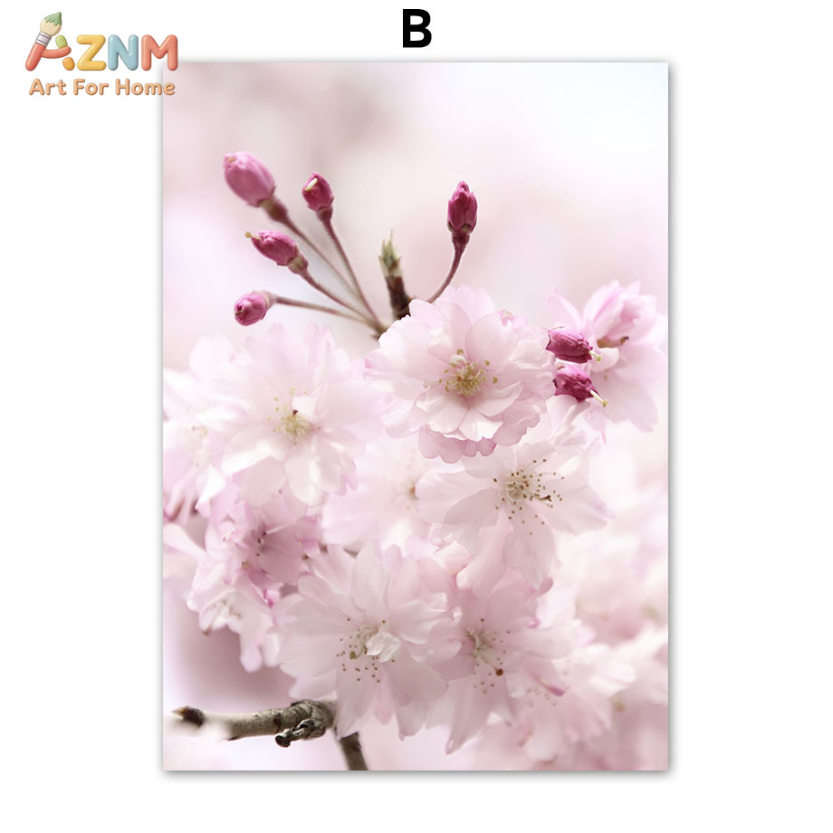 AZNM Pink Cherry Blossom Canva - đánh giá và giá Photography Quotes