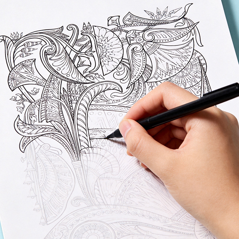 A Hand Drawn Coloring Book for - đánh giá và giá Photography Book