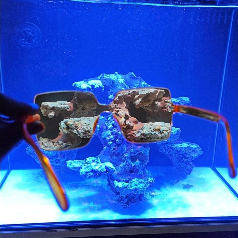 Coral Observation Glasses Cora - đánh giá và giá Photography Natural Lighting