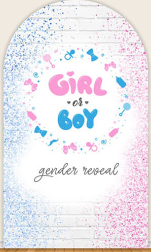 LS Gender Reveal Party Arch Co - đánh giá và giá Photography Questions