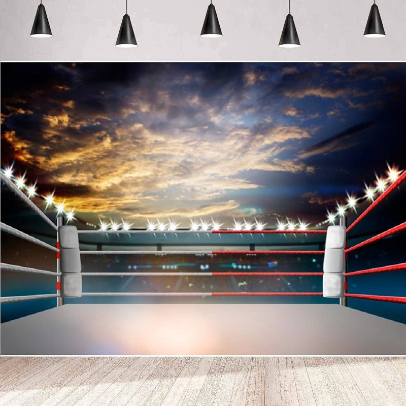 Lighting 3D Boxing Arena Photo - đánh giá và giá Photography Competition