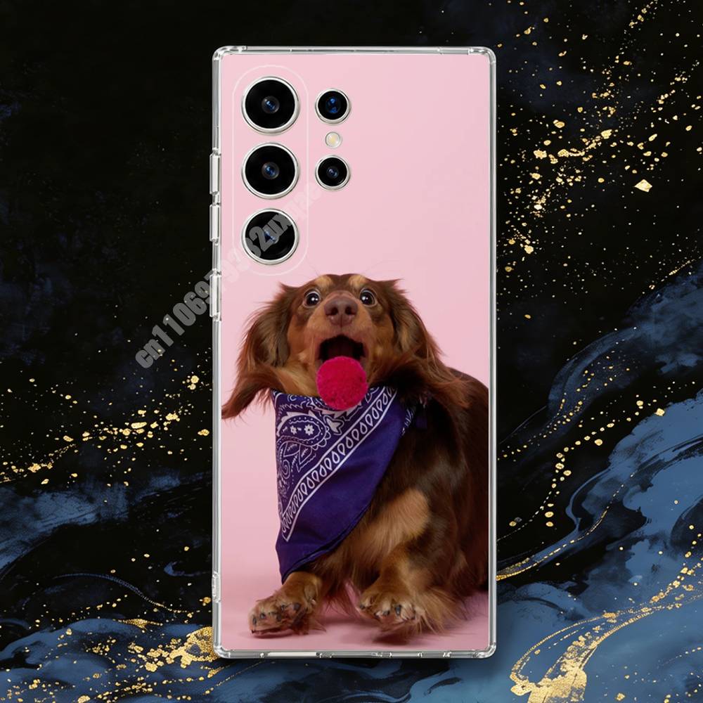 Dachshund Dog Photography Phon - đánh giá và giá Photography Quotes